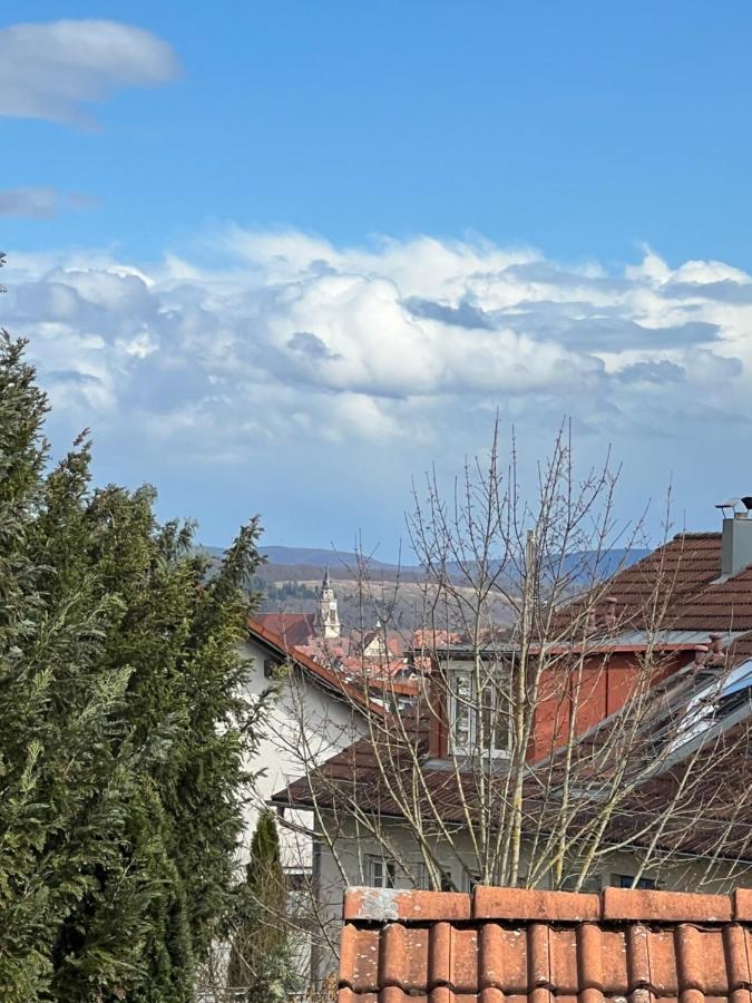 Casa Conte Apartment Tuebingen Luaran gambar